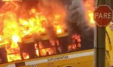 Micro-ônibus causa incêndio em mata e deixa feridos após bater em poste, em bairro nobre de BH
