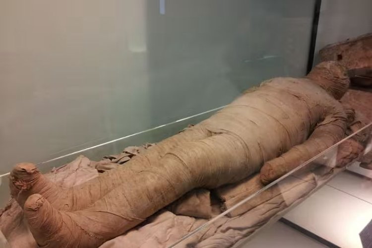 Filho é preso após manter corpo da mãe mumificado por 13 anos no sofá