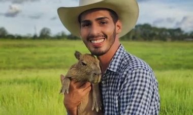 Ibama revela que influencer da capivara Filó já foi multado por morte de preguiça