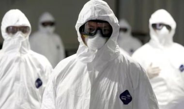 Acabou! OMS decreta em todo o mundo fim da emergência de Covid-19, a pior do século