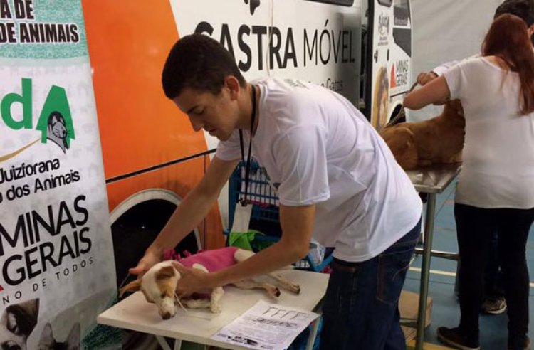 Região do bairro São Geraldo recebe Castramóvel no mês de maio