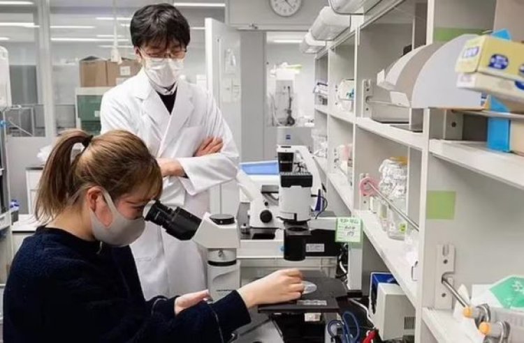Cientistas afirmam que criar bebês em laboratório pode se tornar realidade até 2028