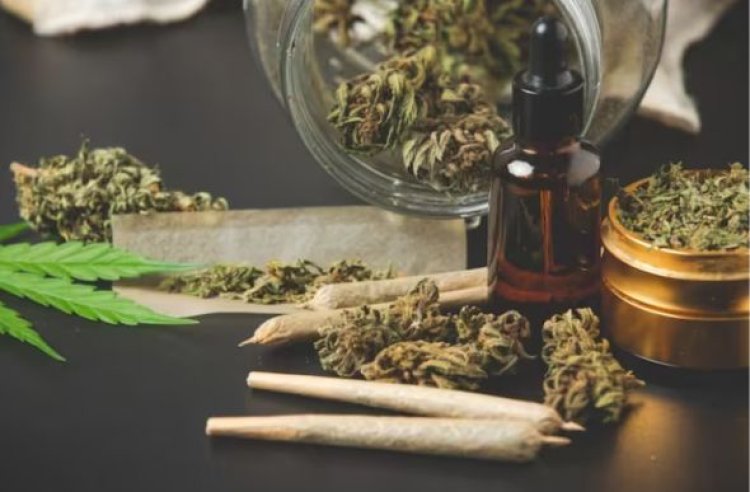 Descriminalização x legalização da maconha: entenda o que está em discussão no STF
