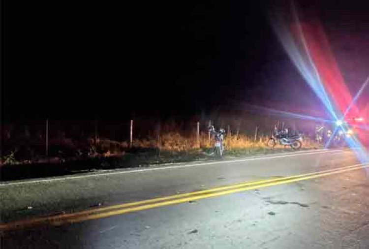 Acidente em Sete Lagoas: moto se choca com boi na MG 238