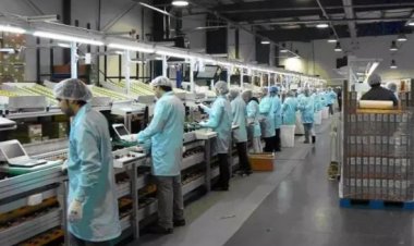 Indústria divulga vaga para auxiliar de produção e manutenção em Sete Lagoas