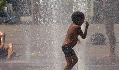 Vereadores discutem protocolo para dias de calor extremo em BH