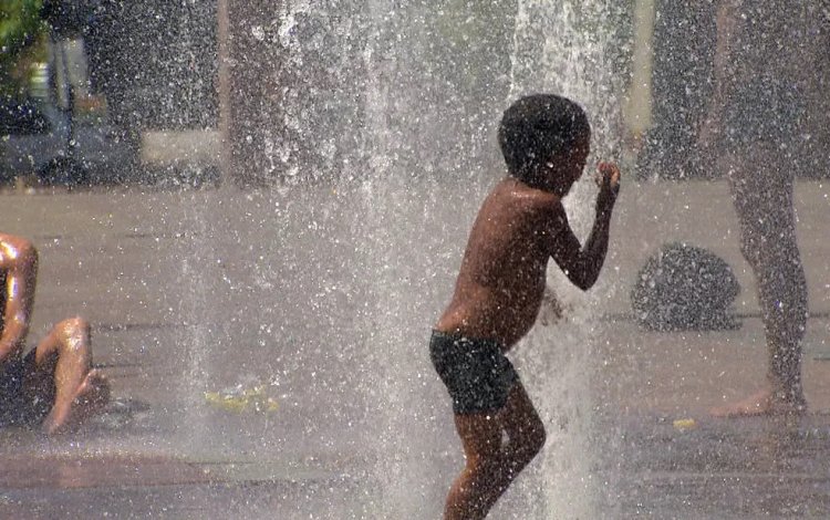 Vereadores discutem protocolo para dias de calor extremo em BH