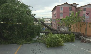 Poste caído, imóvel destelhado: chuva causa transtornos e assusta moradores na Grande BH