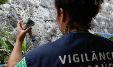 Saúde abre consulta pública sobre inclusão de vacina da dengue no SUS