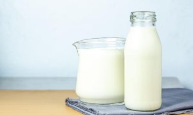 Conheça alimentos alternativos para intolerantes à lactose