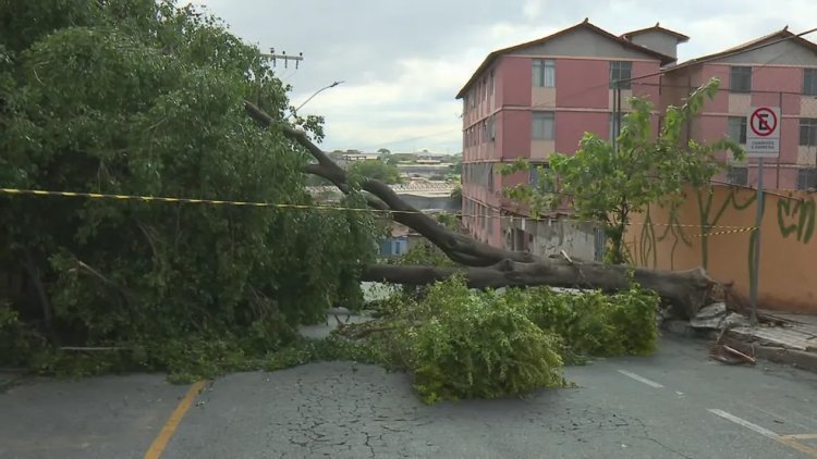 Poste caído, imóvel destelhado: chuva causa transtornos e assusta moradores na Grande BH
