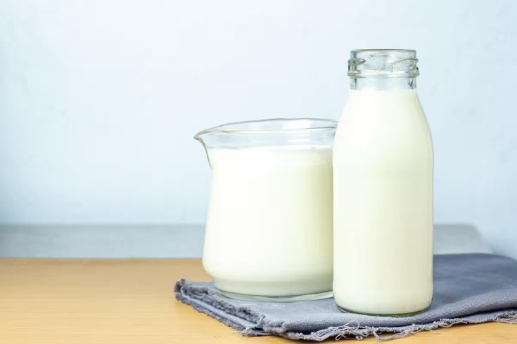 Conheça alimentos alternativos para intolerantes à lactose