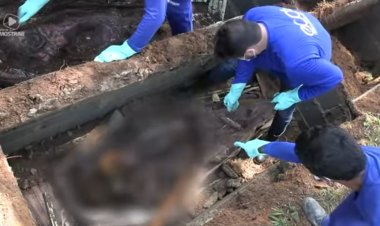 Jornalista vive um dia de coveiro e faz exumação