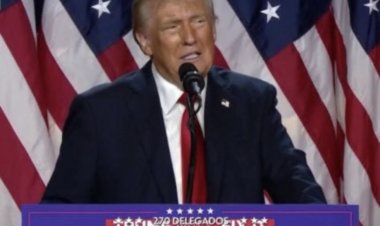 Eleições EUA: Trump revela detalhes de ligação com Elon Musk em discurso