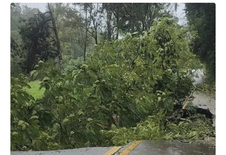 Chuvas causam 18 interdições em rodovias de Minas antes do Ano Novo