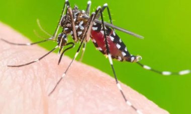 Secretaria estadual de saúde atualiza número de casos de dengue e chikungunya em Sete Lagoas