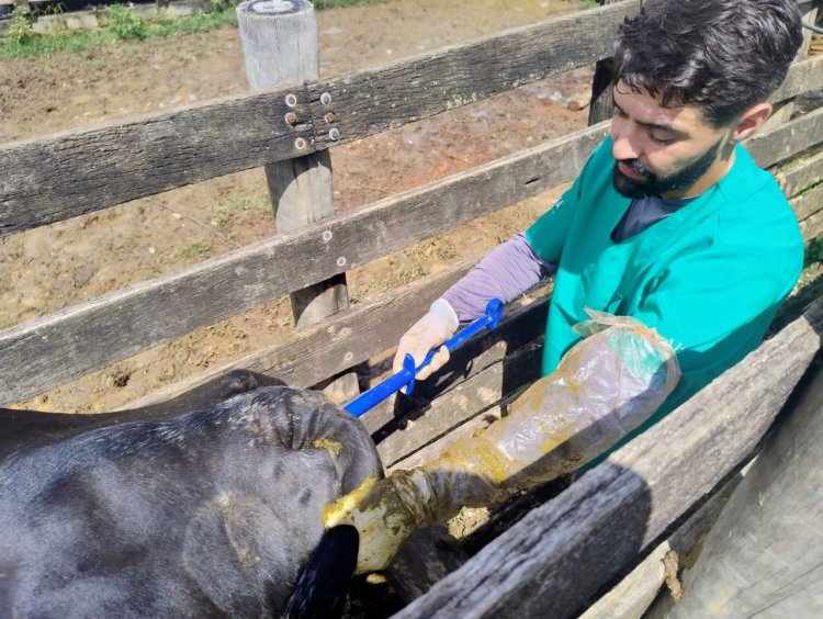 Programa +Pecuária Brasil impulsiona produção agropecuária em Sete Lagoas