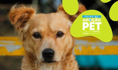 Participe da primeira Feira de Adoção Pet de 2025 no Shopping Sete Lagoas neste sábado (8)