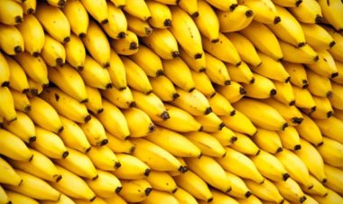 Descubra 3 frutas que vão te ajudar a aumentar massa muscular