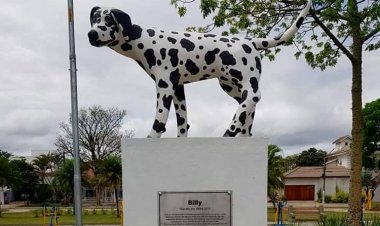 Câmara aprova solicitação para construção de estátua representando animais contra maus-tratos em Sete Lagoas