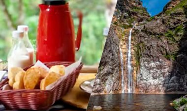 Do café às cachoeiras: publicação lista destinos rurais para visitar em Minas Gerais