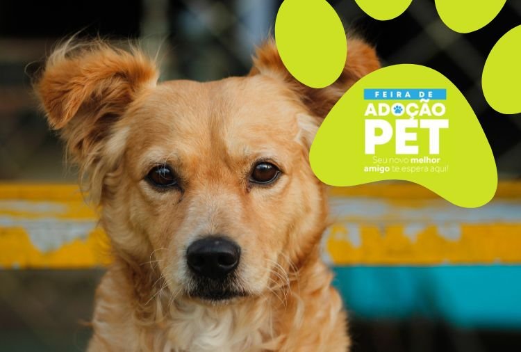 Participe da primeira Feira de Adoção Pet de 2025 no Shopping Sete Lagoas neste sábado (8)