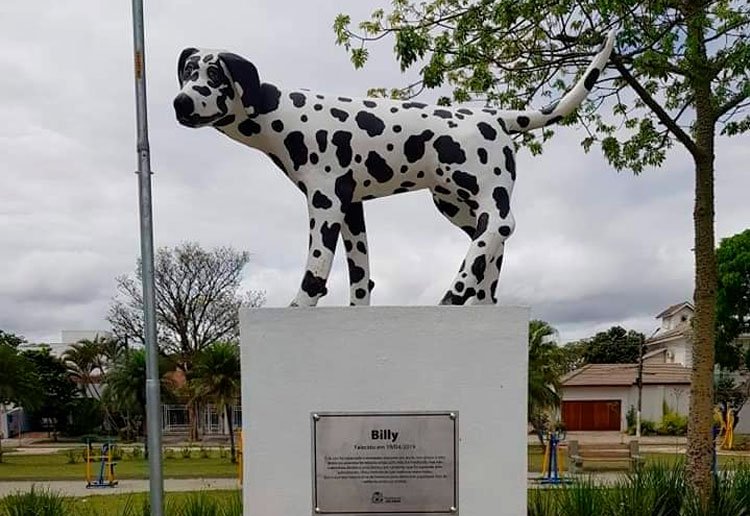 Câmara aprova solicitação para construção de estátua representando animais contra maus-tratos em Sete Lagoas