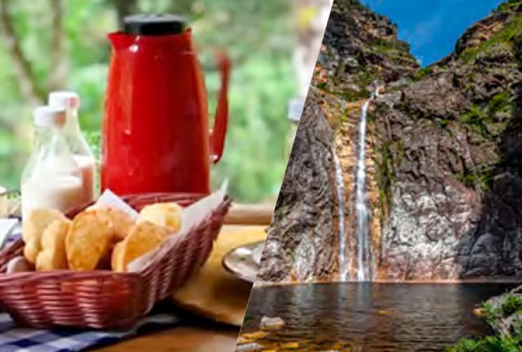 Do café às cachoeiras: publicação lista destinos rurais para visitar em Minas Gerais