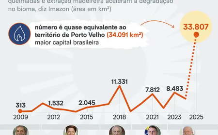Degradação na Amazônia Legal bate recorde com aumento de 482% em 2025