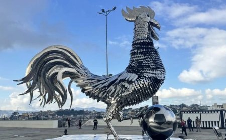 Designer do Galo Inox revela detalhes de como desenvolveu arte para o Atlético