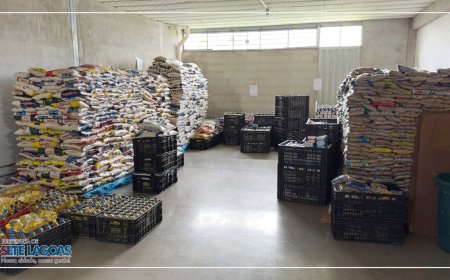 Show de solidariedade: mais de 12 toneladas de alimentos são arrecadadas na Festa do Trabalhador