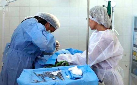 Sete Lagoas abre inscrições para castração gratuita de cães e gatos