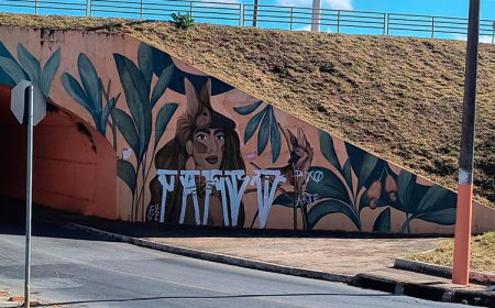 Projeto de lei propõe regulamentação do grafite e combate à pichação em Sete Lagoas