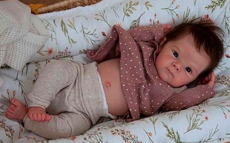 Projeto quer proibir atendimento de ‘bebês reborn’ em serviços públicos de saúde de Sete Lagoas