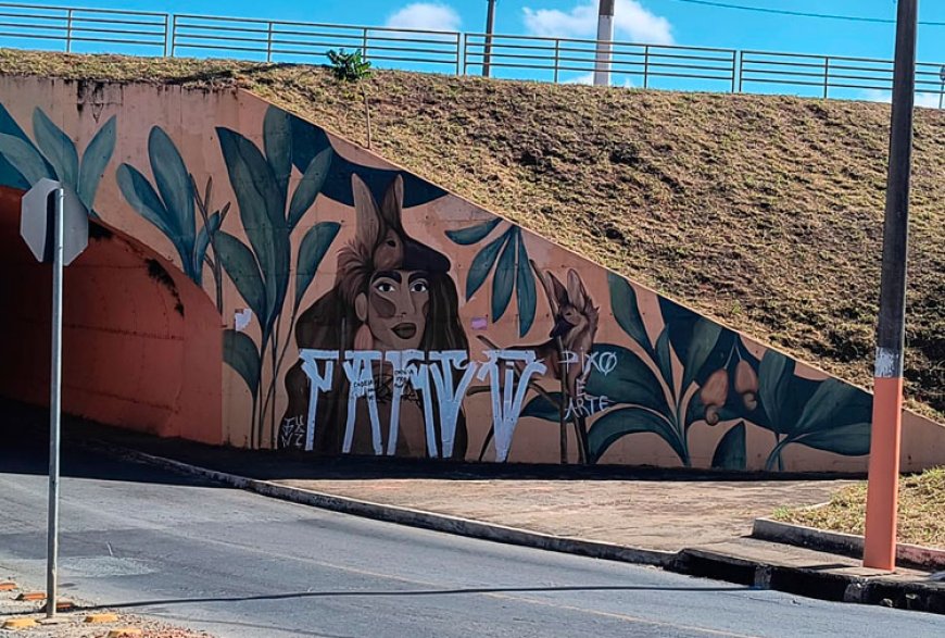 Projeto de lei propõe regulamentação do grafite e combate à pichação em Sete Lagoas