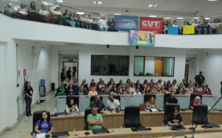 Audiência na Câmara de Sete Lagoas debate valorização de cuidadores infantis e professores de apoio