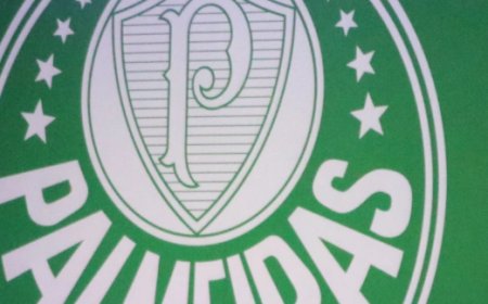 Palmeiras aprova afastamento de conselheiro acusado de assédio contra menores