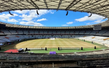 Mineirão inicia plantio do gramado de inverno; saiba detalhes