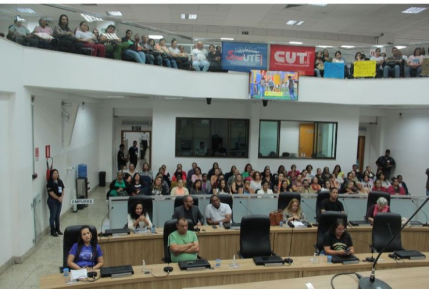 Audiência na Câmara de Sete Lagoas debate valorização de cuidadores infantis e professores de apoio