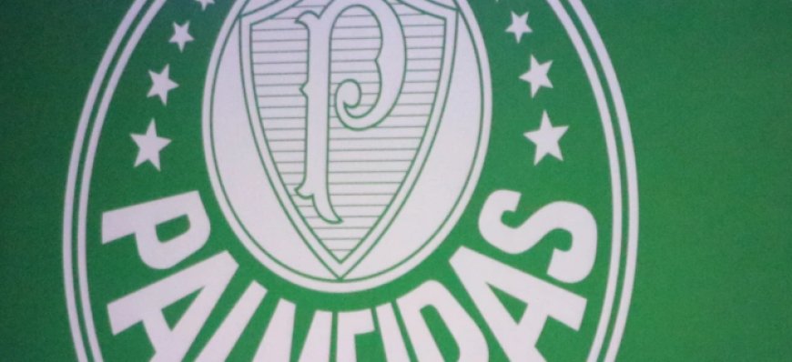 Palmeiras aprova afastamento de conselheiro acusado de assédio contra menores