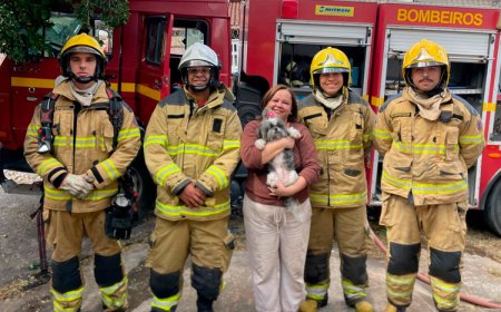 Incêndio atinge residência em Sete Lagoas e bombeiros resgatam cachorro com vida