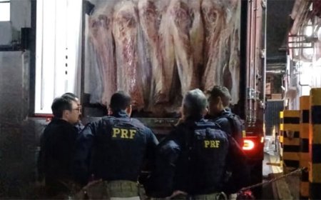 PRF encontra 400 kg de maconha escondidos em carga de carne na BR-262, na Grande BH