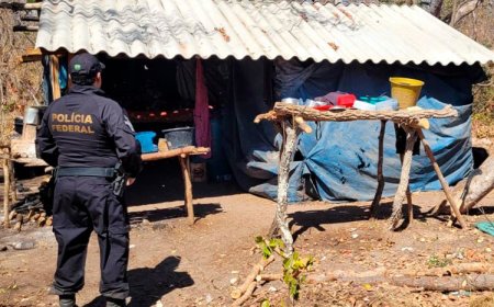 PF resgata trabalhadores de carvoaria em Minas