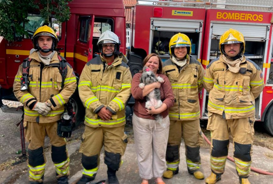 Incêndio atinge residência em Sete Lagoas e bombeiros resgatam cachorro com vida