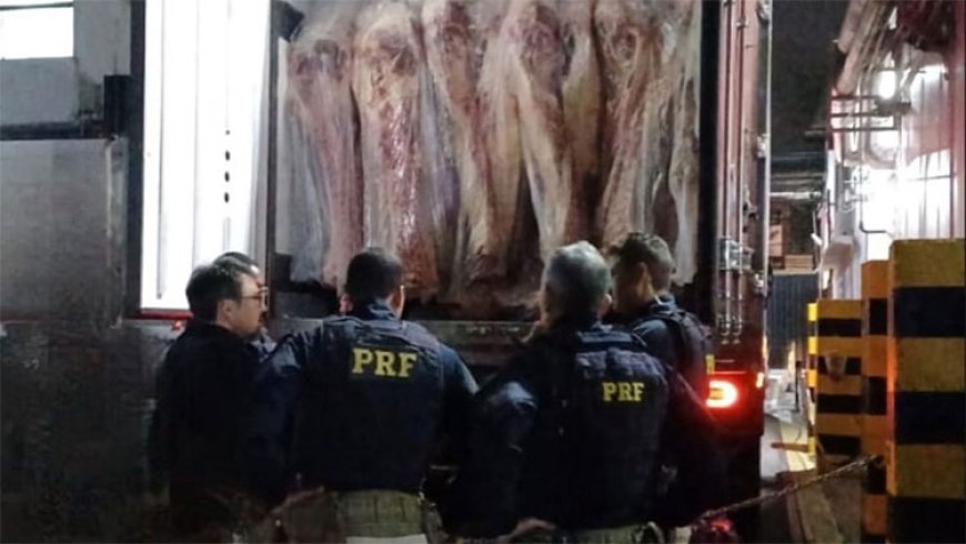 PRF encontra 400 kg de maconha escondidos em carga de carne na BR-262, na Grande BH