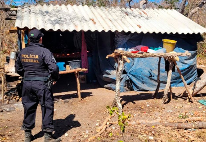 PF resgata trabalhadores de carvoaria em Minas