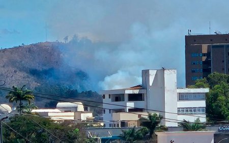 Bombeiros combatem incêndio em área de preservação em Sete Lagoas