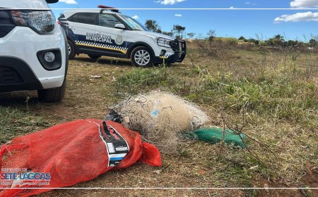 Guarda Municipal de Sete Lagoas coíbe pesca predatória na Lagoa das Piranhas