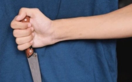 Criança de 8 anos mata a mãe a facadas durante discussão