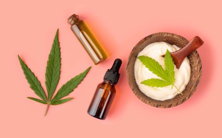 Gestão Nunes paga até oito vezes mais caro por canabidiol em licitação de R$ 521 milhões